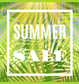 summer sale banner with palms and sun vector image