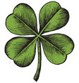 clover with four leaf - vintage engraved vector image