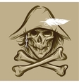 skull of the pirate vector image