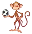 monkey with a soccer ball vector image