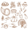 thanksgiving day sketched symbols for greeting vector image