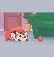 cat playing in interior funny kitty in living vector image vector image