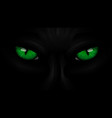 green eyes black panther on dark vector image