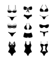 female swimsuits and swimwears icons vector image
