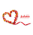 autumn colorful forest leaves berries cones vector image
