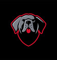 cane corso dog e sport logo icon vector image