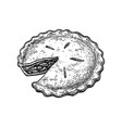 ink sketch apple pie vector image