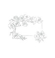 hand drawn orchid flower arrangement floral vector image vector image