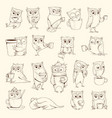 owls with cup sleep concept birds characters vector image vector image