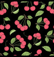cherry pattern seamless background vector image