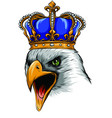 mascot with crowned american eagle vector image