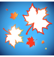 abstract maple leaves frames vector image vector image