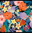 summer natural vintage exotic seamless vector image