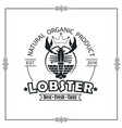 emblem with lobster vector image