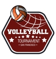 volleyball sport ball emblem vector image