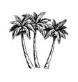 palm sketch hand drawn vector image vector image