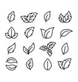 linear black icons leaves and branches set vector image