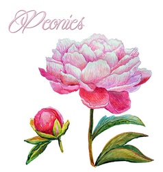 Flowers delivery Royalty Free Vector Image - VectorStock