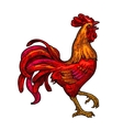 red fiery rooster vintage black engraving vector image vector image