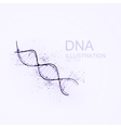 dna chain vector image