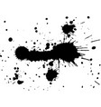 black ink watercolor drop on white background vector image