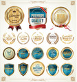 quality gold and blue badges labels collection vector image