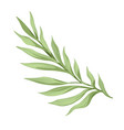 tropical or extotic flower branch leaves design vector image