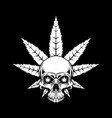 skull with marijuana leaf design element for logo vector image vector image