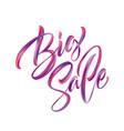 big sale lettering paint brush texture vector image