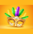 colorful feather masquerade carnivalfestive mask vector image vector image