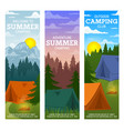 summer camp travel and tourism vector image vector image