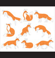 continuous one line drawing of a fox vector image vector image
