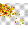 falling maple leaves vector image