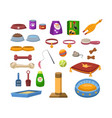 food and accessories for pets set vector image