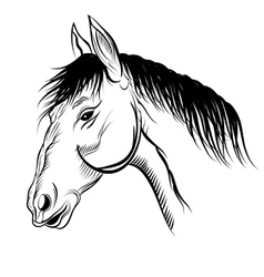 Mare Royalty Free Vector Image - VectorStock