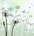 meadow weeds and dandelions silhouettes vector image vector image