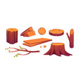 set firewood wooden logs slices axe in stump vector image