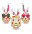 easter bunny eggs vector image