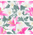 seamless texture spring flowers lily pink daylily vector image