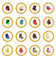 butterfly icon circle vector image vector image