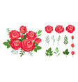red roses bouquet wedding flowers decoration vector image