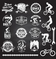 set bmx extreme sport club badge vector image