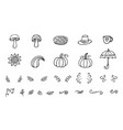 autumn doodles collection vector image