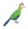 green turaco bird isolated vector image
