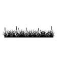 grass and wheat silhouette vector image