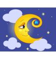 moon vector image