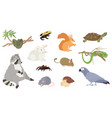 exotic pets set vector image vector image