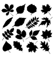 set of black silhouettes leaves on white vector image