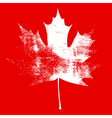 grunge maple leaf white vector image vector image