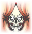 human skull and stage curtain vector image